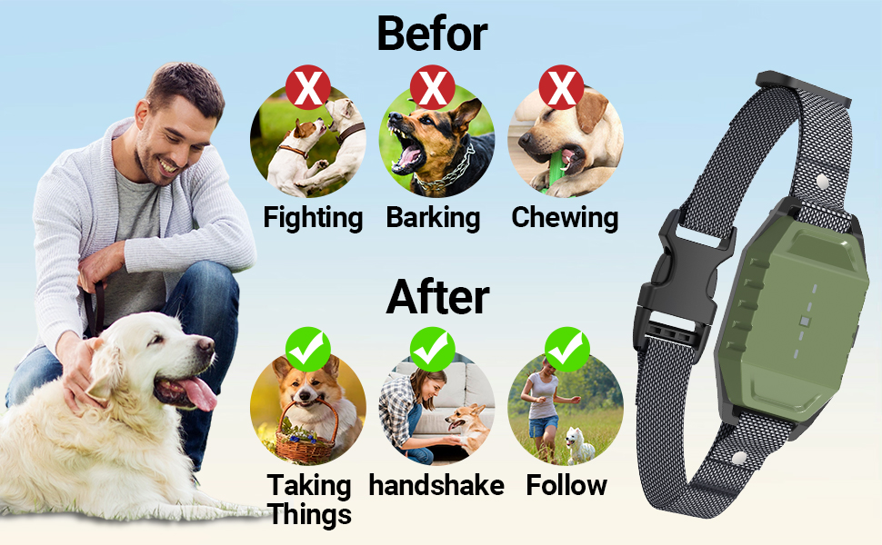 dog collar