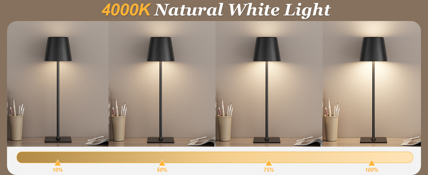 battery operated table lamp