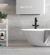 Adjustable shelf