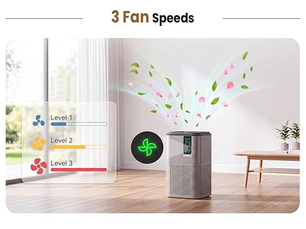 3 Fan speeds