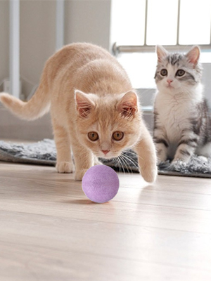 wool dryer balls purple