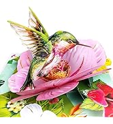 Hierein Birthday Cards for Women, Hummingbird Pop Up Cards Birthday Gifts for Mom, Wife, Grandma,...