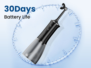 water flosser-1 charge,30 days use