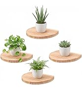 MITREL Small Wood Floating Shelves (4-Pack, 8-inch Diameter) - Round Sturdy Invisible Wall Mount ...