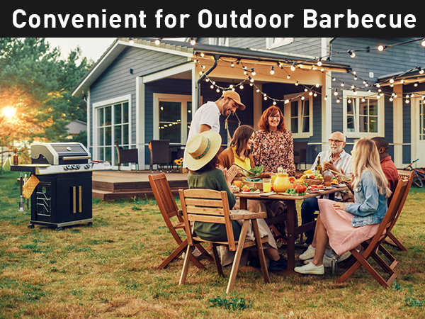 bbq cleaning brush