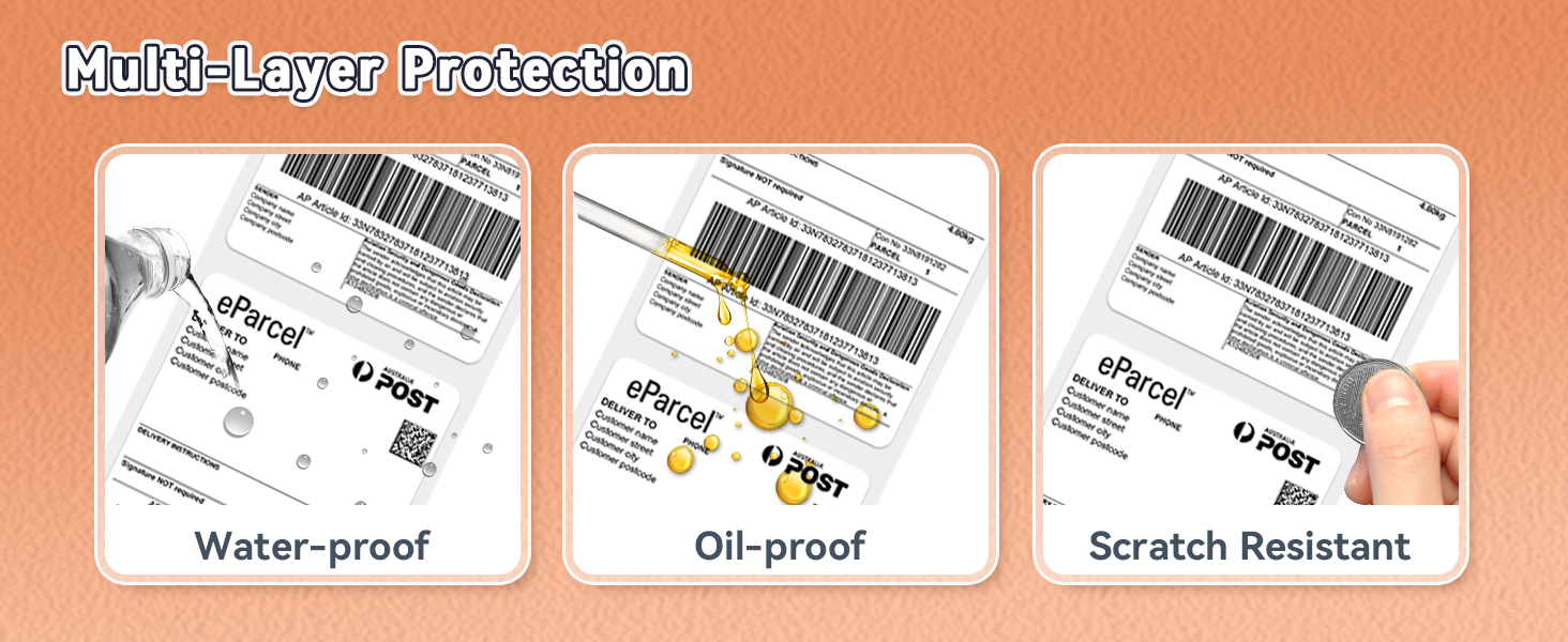 phomemo labels