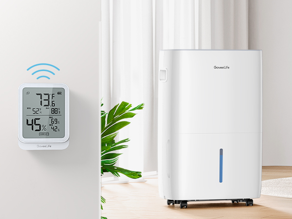 With Dehumidifier