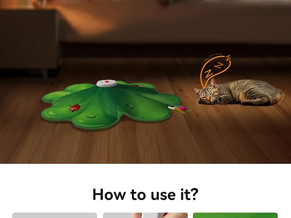 cat toys