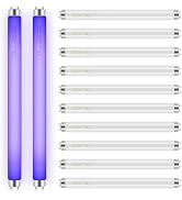 Qualirey 12 Pack Bug Zapper Replacement Light Bulbs 10W for 20W Indoor Bug Zapper, BL T8 F10W 13I...