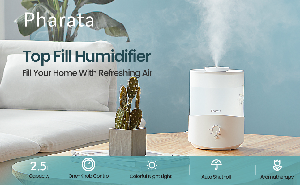 Top Fill Humidifier
