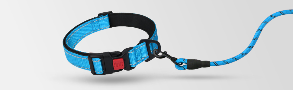 rope dog leash