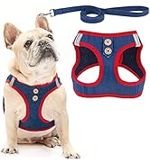 PUPTECK Dog Harness and Leash Set for Small Medium Dogs No Pull Step-in Soft Mesh Puppy Cat Vest ...