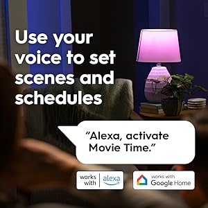 voice control