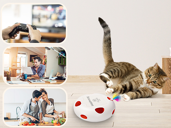 cat toys