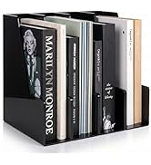 Vertical Magazine File Holder, Black File Organizer Desk Organizer and Storage Bins Holding for M...