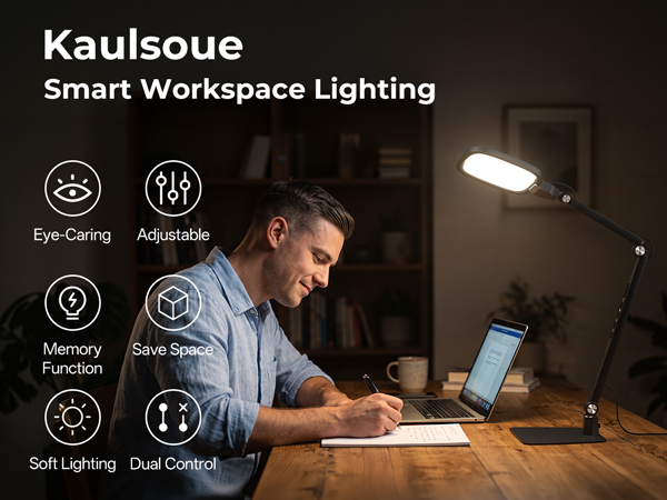 LED Desk Lamp for Office Home