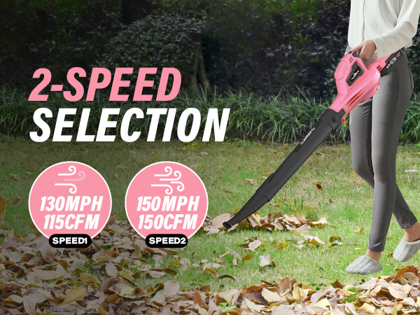 leaf blower cordless