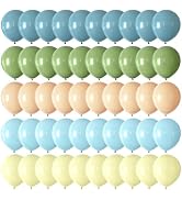 CVPARTYON Blue Yellow Green Balloons 55 pcs 12 Inch Sage Green Dusty Haze Blue Pastel Light Blue ...