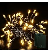 Jatlukbaat 2 Pack Battery Operated String Lights - 9.8ft 30 LEDs Battery String Lights with Timer...