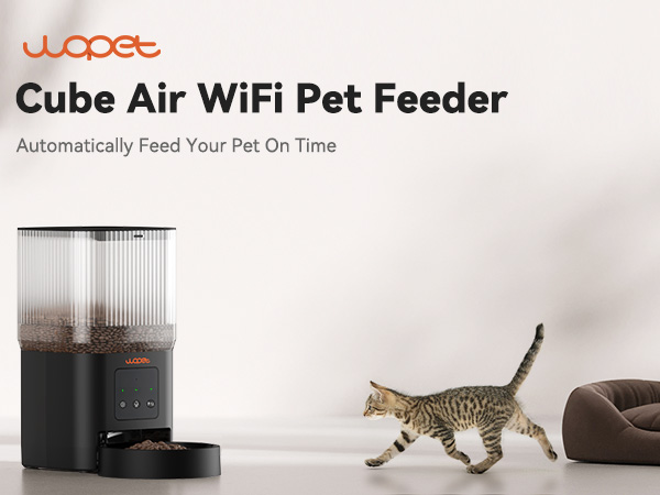 automatic cat feeder
