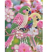 Tontut Adult Diamond Painting Kit Parrot and Birds Pearl Painting 5D DIY Special-Shaped Diamond A...