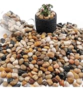 NUPICK 3lb River Rocks for Plants Indoor, 3/8 Inch Mixed Pebbles for Vase Fillers, Decorative Pea...