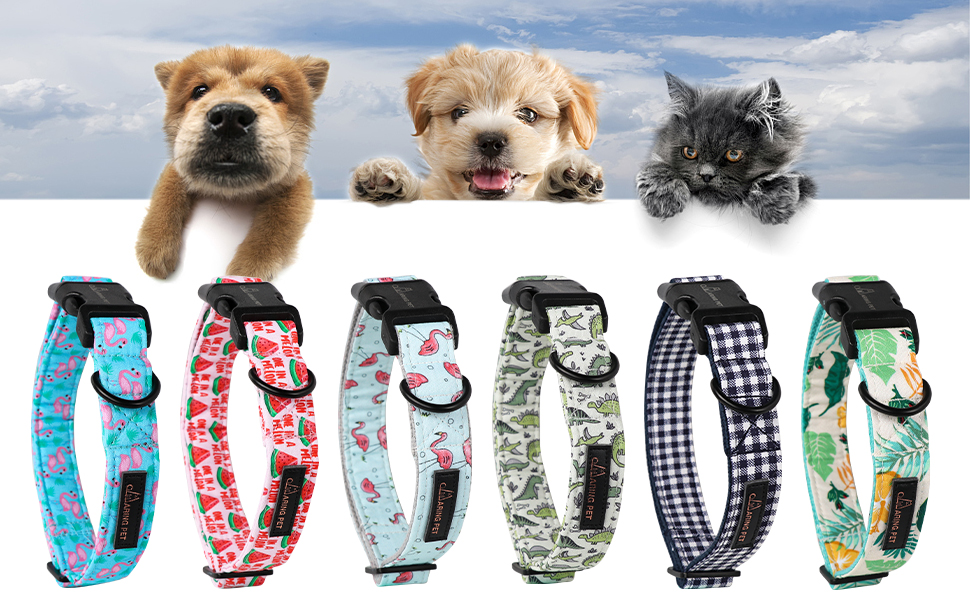 summer dog collar