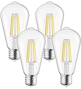 Brightown Edison Light Bulbs, 4Pcs Vintage 6 Watt Light Bulbs E26 Base Non-Dimmable Decorative An...
