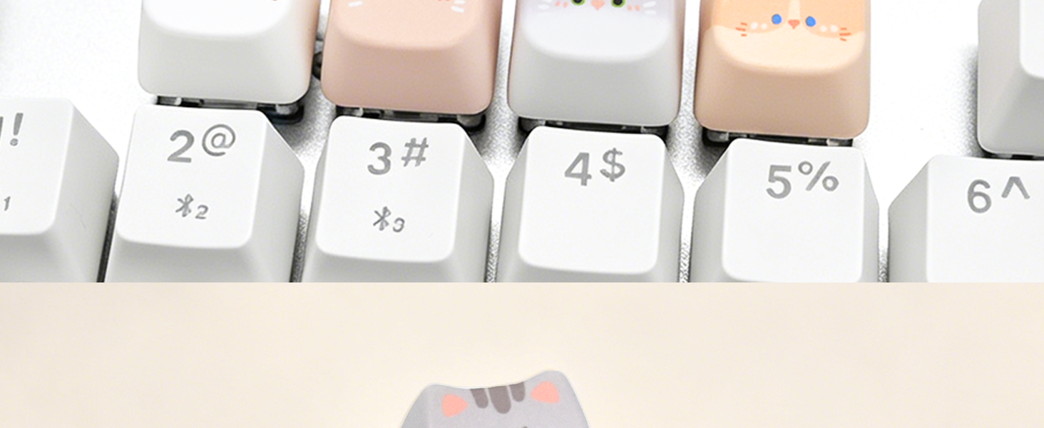 keyboard keycap