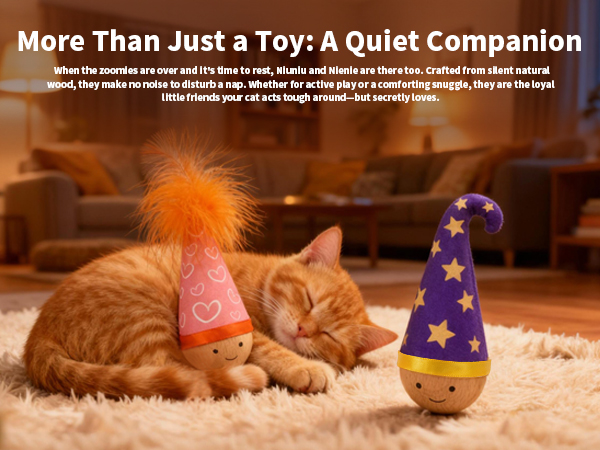 Best Gift for your Cat