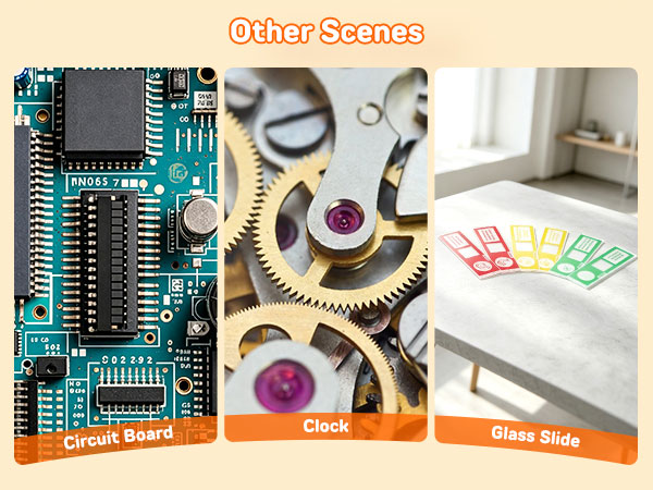 Other Scenes