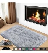 Mugorn 2x3 Rugs for Bedroom, Fluffy Area Rugs for Living Room, Soft Shag Kids Rug Small Carpet wi...