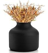 Goaste Metal Matte Flower Vase, Small Black Vase for Flowers, 6.5 Inch Tall Iron Frosted Flower A...