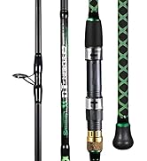 Sougayilang Surf Spinning Fishing Rod Carbon Travel for Beach Saltwater 2 Pieces (9'/10'/11'/12')...