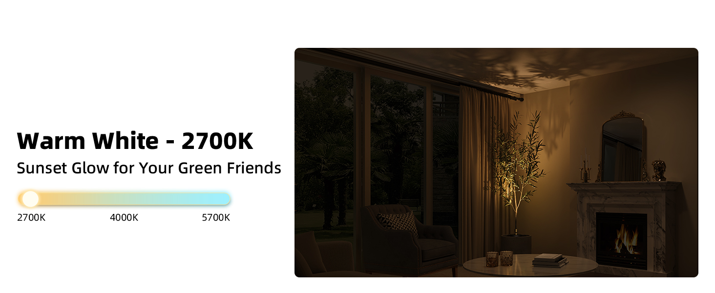 plant Spotlight Indoor