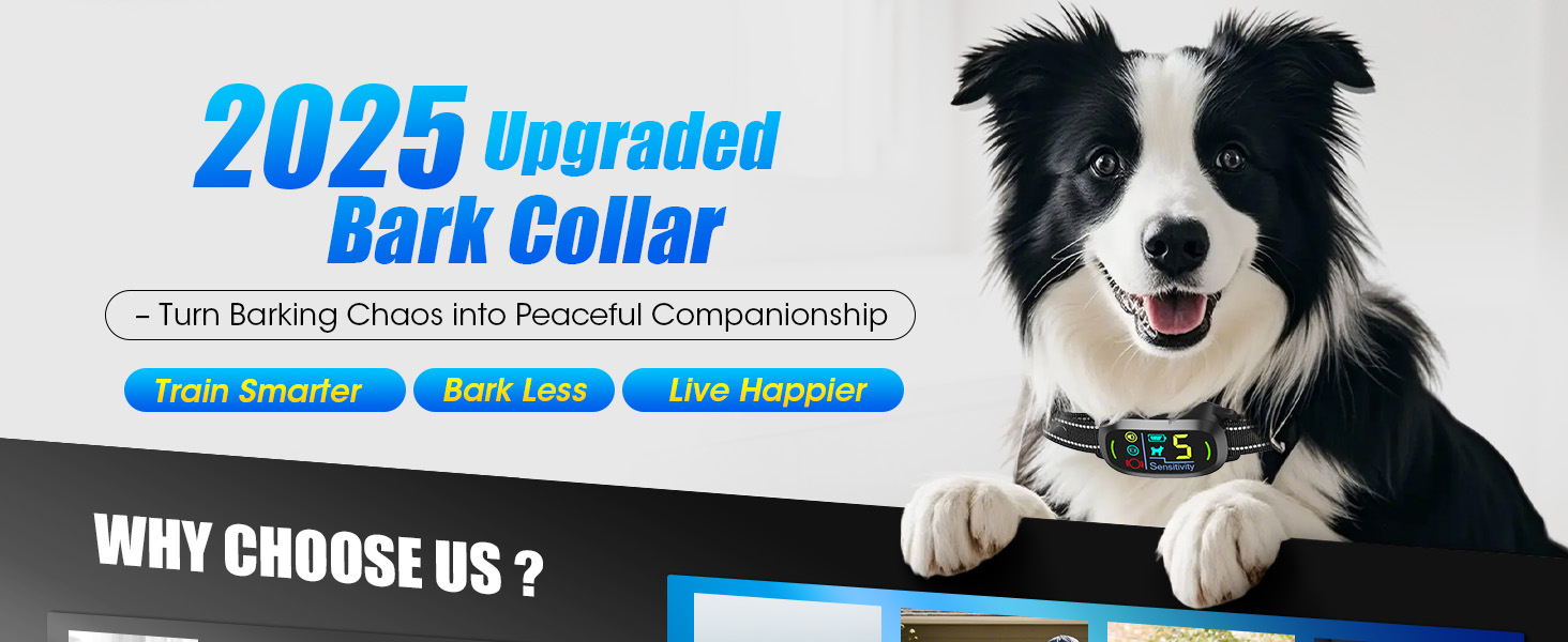 bark collar for large dog dog bark collar bark collar for medium dogs bark collar for small dogs