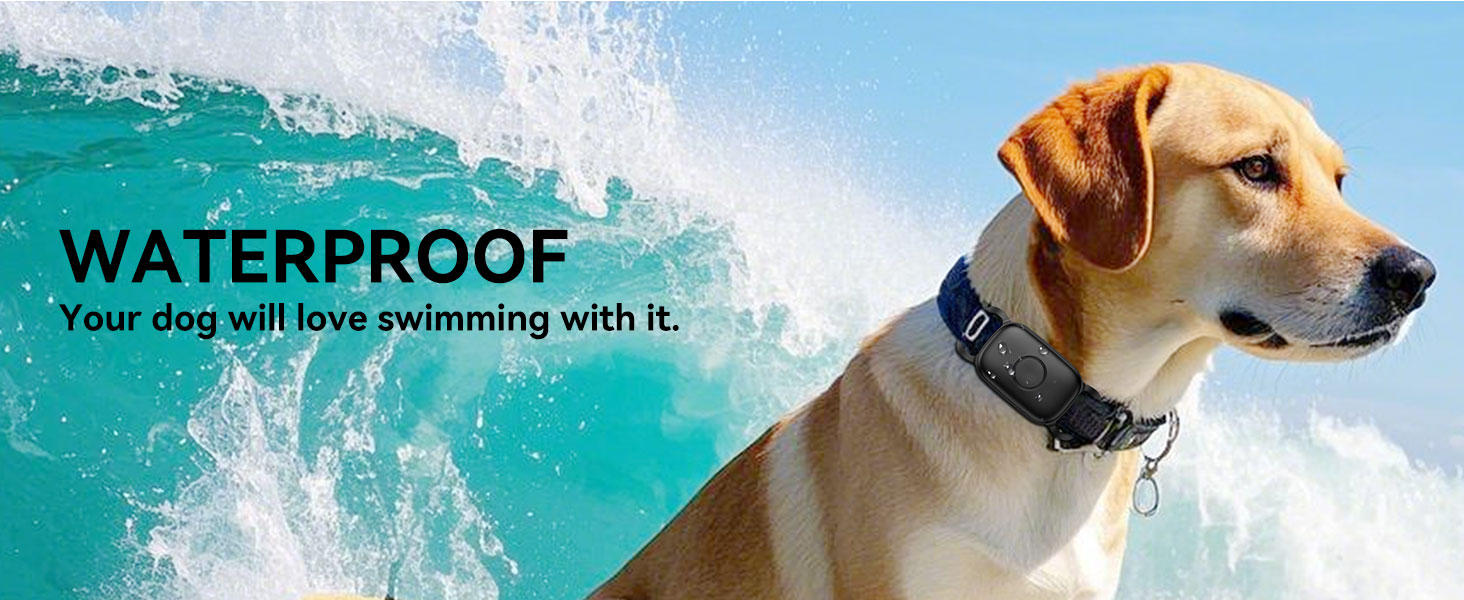 WATERPROOF Your dog will love swimming with it