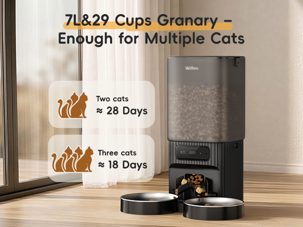 cat feeder automatic