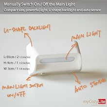 Cute Decorative LED Night Lights Plug, Auto ON/OFF