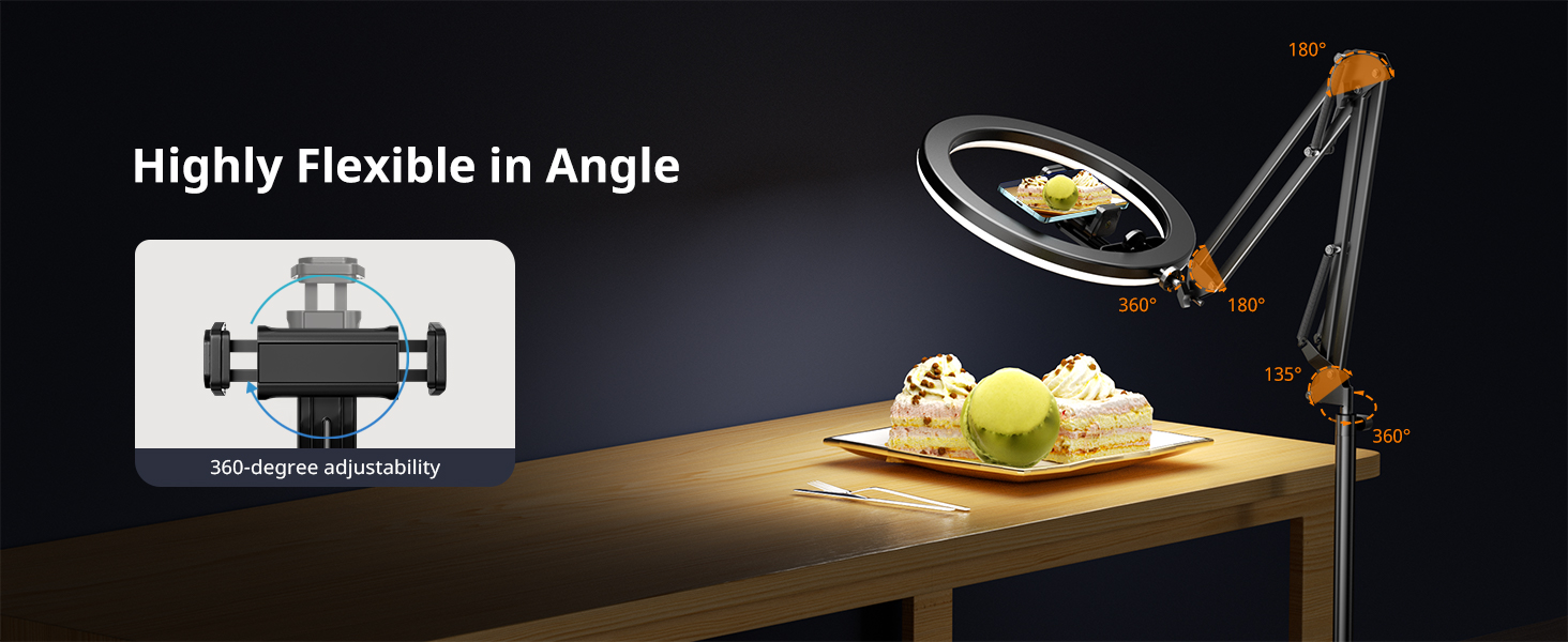 overhead phone mount with light