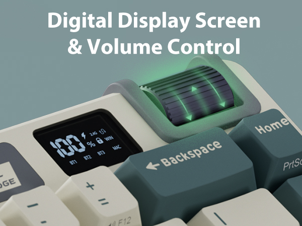 screen