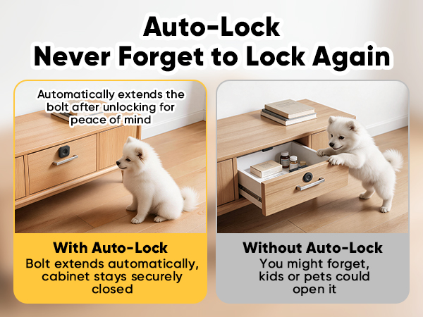 Smart Cabinet Lock