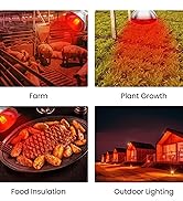 Heat Lamp Bulb