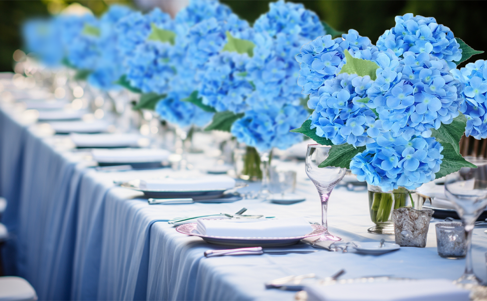 blue hydrangea