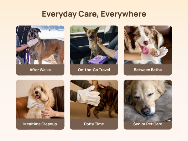 dog wipes cleaning