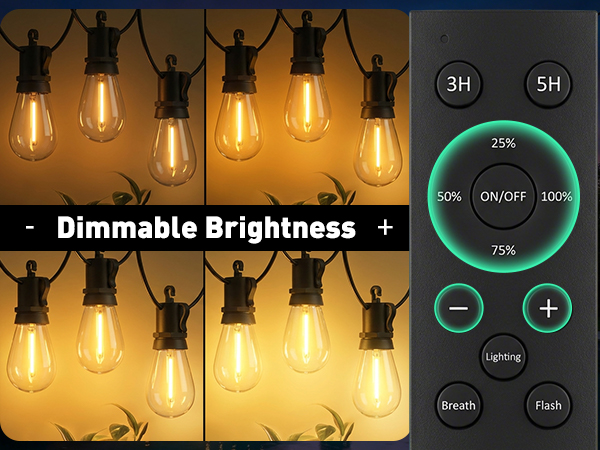 string lights for outside with remote