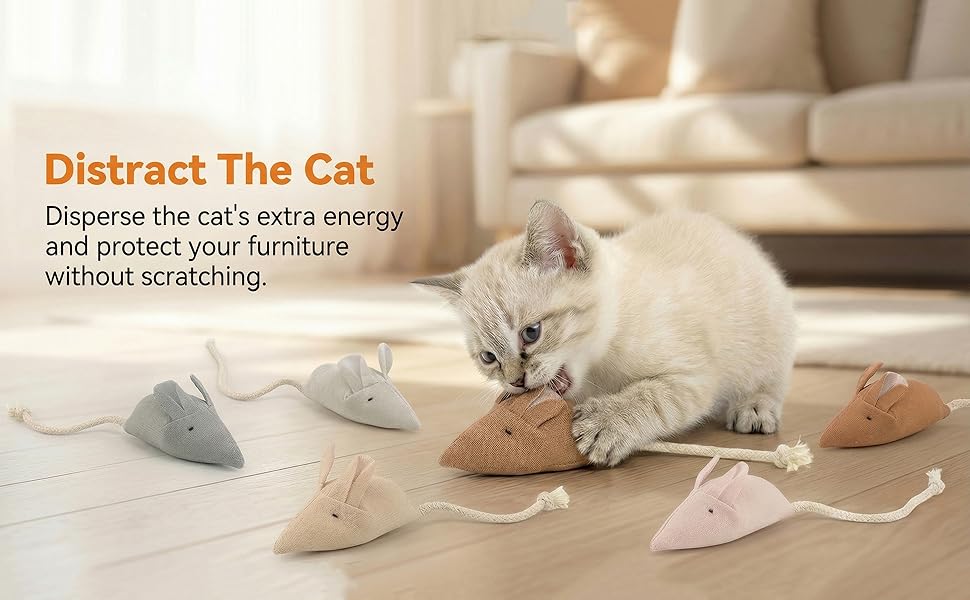 Disperse the cat's extra energy and protect your furniture without scratching.