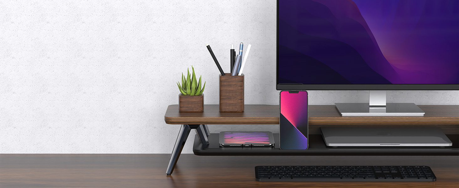 Home Office Stand