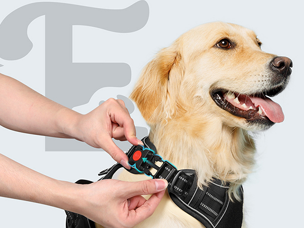 easy to wear dog harness