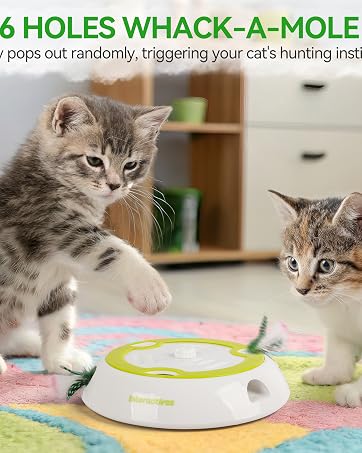 Interactive 6-Hole Whack-a-Mole Cat Toy